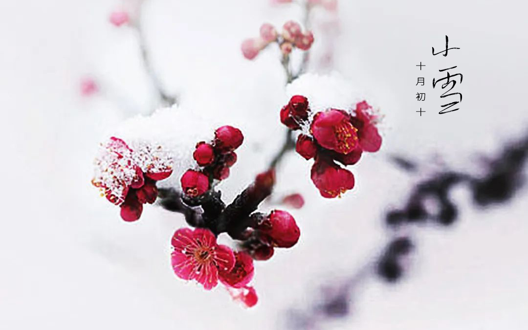 二十四节气┃小雪 小雪天地清寒，境揽冬韵风华